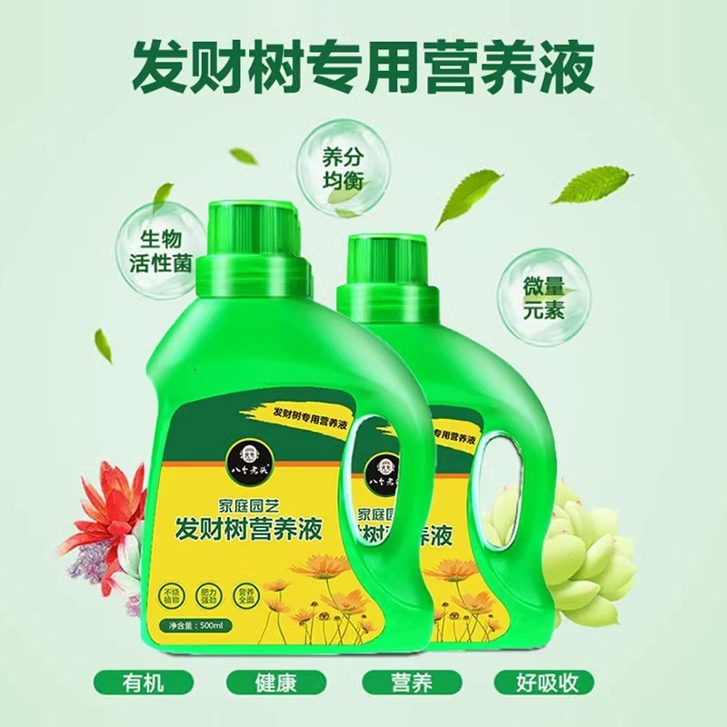发财树叶斑病肥黄白斑急救黄叶枯叶烂根营养液植物花卉营养液