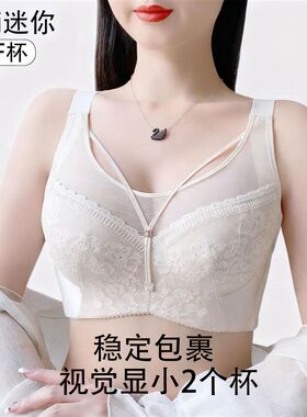 Mni迷你大胸显小内衣女收副乳A聚拢防下垂大码薄款文胸全罩杯胸罩