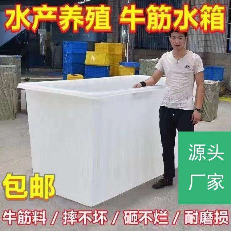 长方形塑料盆牛筋方桶加厚水产养殖水箱家用养鱼养龟缸卖鱼盆胶框
