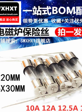 电磁炉玻璃保险管丝5*20MM F10A 15A 12A 12.5AL250V带引脚 6*30