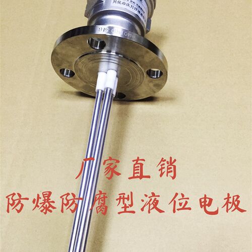 防爆型防腐316L水位电极不锈钢法兰型液位探针液位棒绝缘耐腐蚀