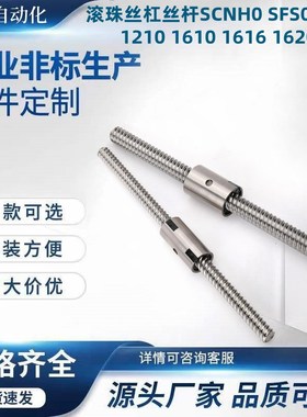 滚珠丝杠丝杆SCNH0 SFS0 SFV0 1210 1610 1616 1620 2010 2020