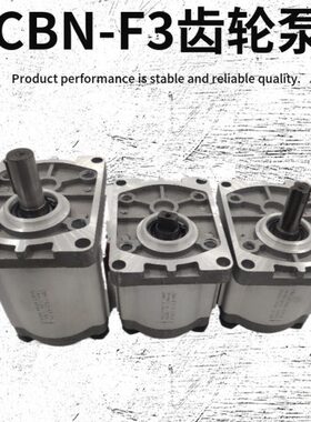 高压齿轮泵 CBN-F304 F306 F310 F314 F316 F320 F325 E 液压油泵