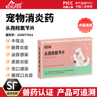 宠物头孢羟氨苄片狗狗猫咪尿路感染皮肤病犬外伤中耳炎消炎药专用