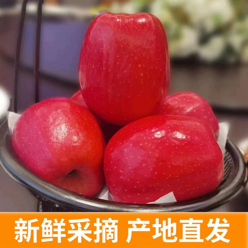 陕西富平特产瑞香红苹果玫瑰香味特甜西农新品红苹果孕妇精品水果