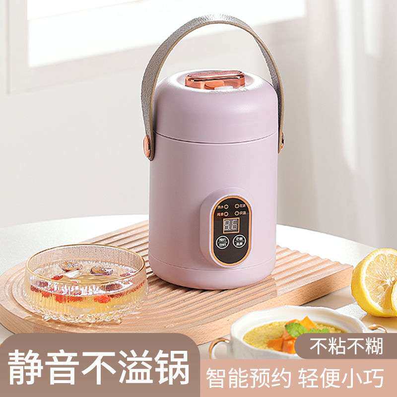 小电炖家用多功能辅食锅电炖盅迷你便携式煮粥神器煲汤熬粥电炖杯