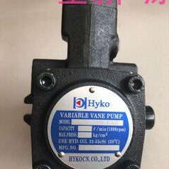 HYKO油泵VPV-30H9-FA3 VPV-15H9-FA3 VPV-20H9-FA3  VPV-40H9-FA3