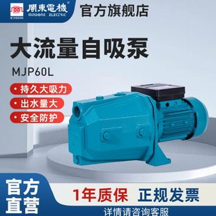 闽东电机JET射流泵高扬程抽井水家用自来水自吸水泵低噪抽水机