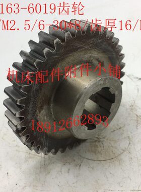 大连/沈阳CW6180/CW6163机床配件6019齿轮Z36/M2.5/6-30*8