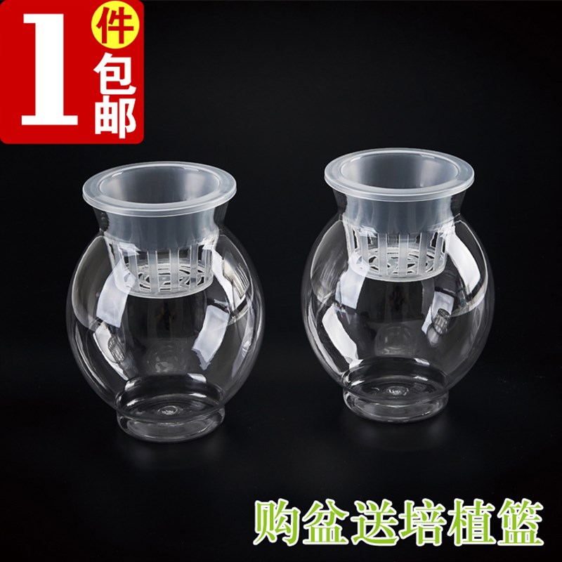透明水培塑料花瓶绿萝水生植物植物容器适于室内S桌面摆放花盆包