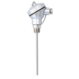 双支热电阻PT100 m20 WZP2 1.5 500 236 WZPK2 l=700mm