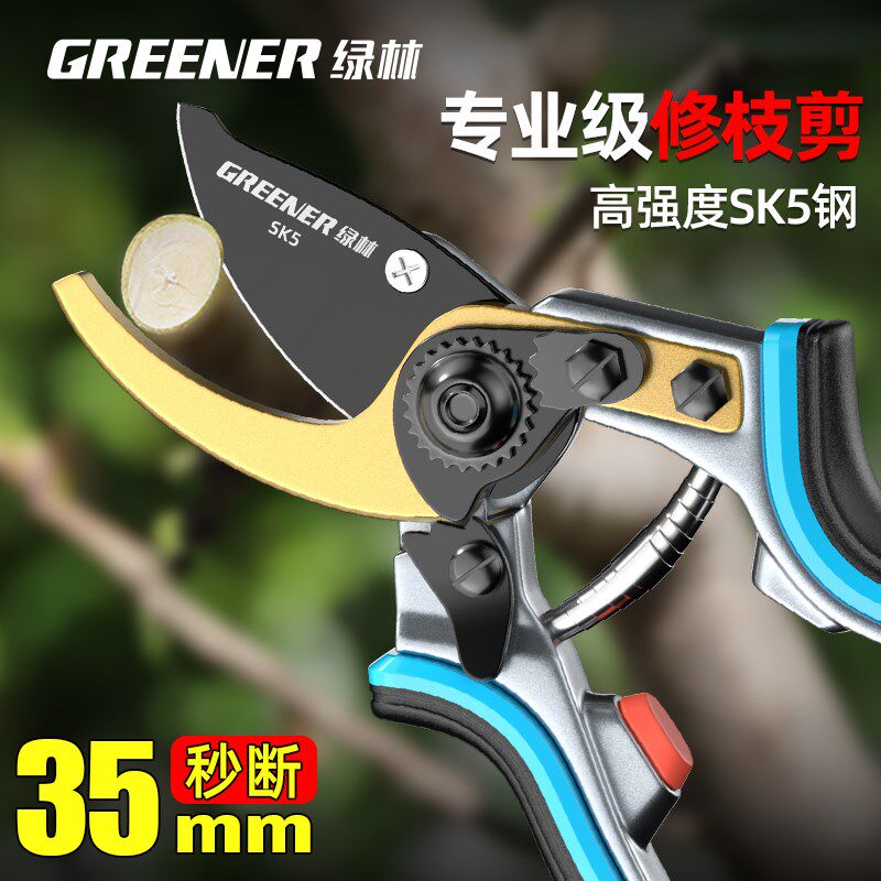 绿林修枝剪剪树枝专用剪刀果树花剪盆栽园艺剪刀省力粗枝园林剪