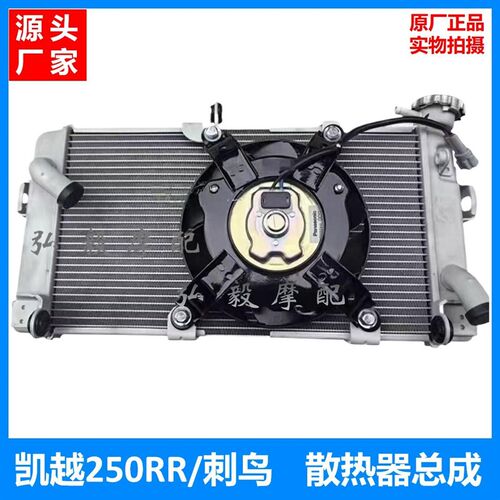 适用凯越250RR刺鸟原厂水箱散热器总成 ZF250GS-2水冷器水箱风扇
