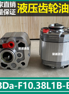 CBDa-F10.38L1B-BA齿轮泵CBDa-F10.16L1B-BA微型液压齿轮油泵高压