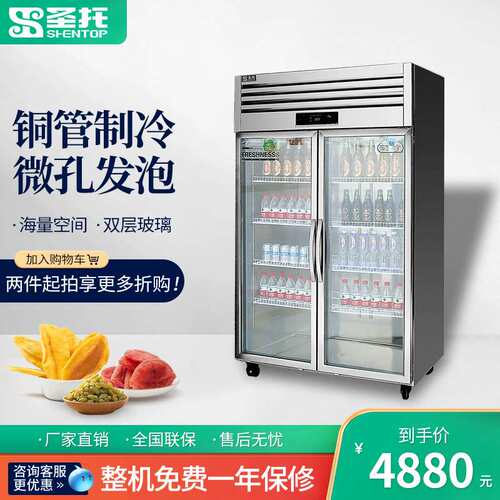 圣托双门冷藏柜展示柜水果蔬菜保鲜柜商用冰柜玻璃门STLN-ZC22