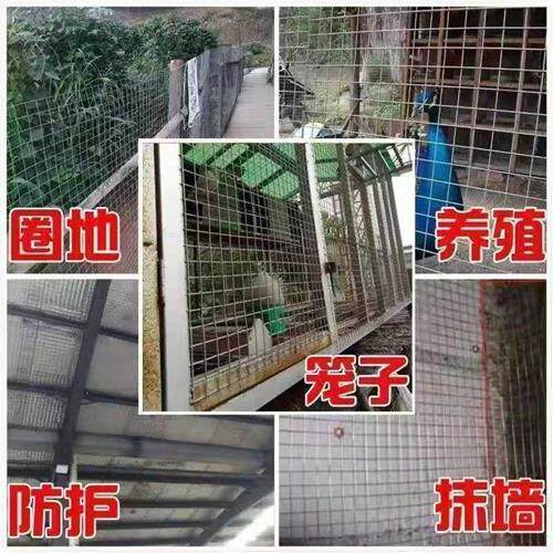 铁丝网围栏养殖网热浸镀锌栅栏网片网格阳台L钢丝护栏网防鼠防护