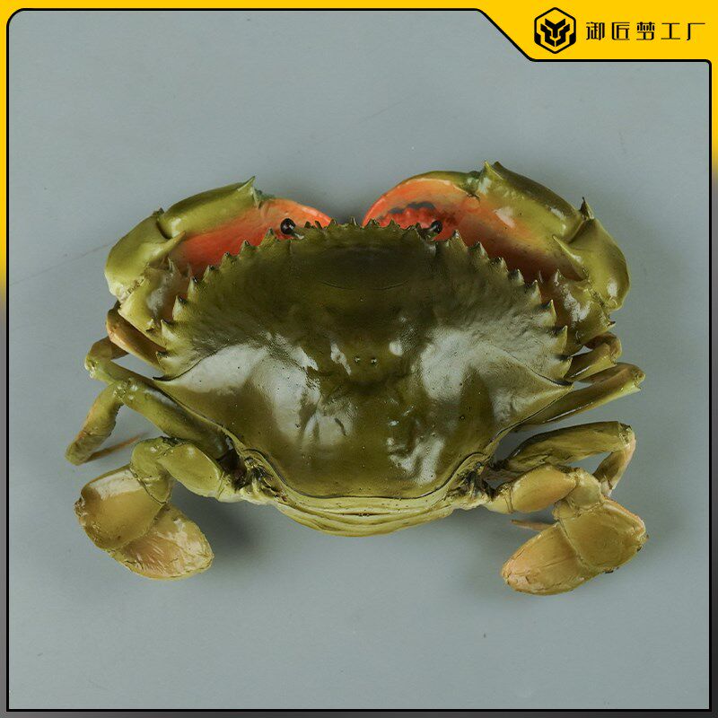 模拟青蟹膏蟹模型假海鲜水产大M闸蟹模模拟餐盘大蟹