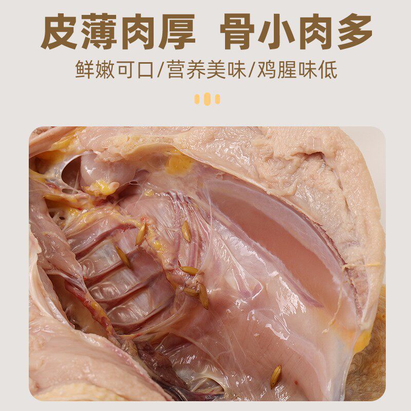 膳百乐正宗山鸡新鲜现宰土鸡散散山鸡试吃一只椰子鸡