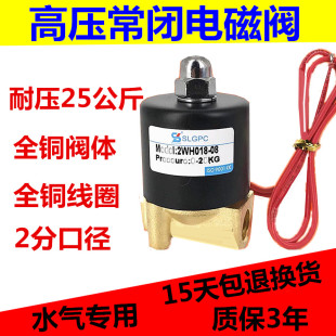 高压电磁阀 2WH018-08 2分/3分高压气阀 耐压25KG AC220V DC24V