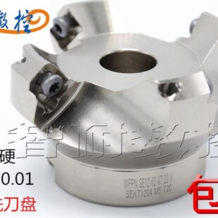 250 45度倒角铣刀盘 300 200 SE12 160 数控平面铣刀盘 100