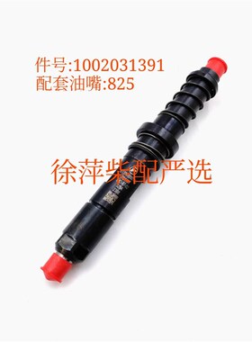 潍柴6170喷油器总成1002031391 WHM8170油嘴 T825油头HJ140T009XC