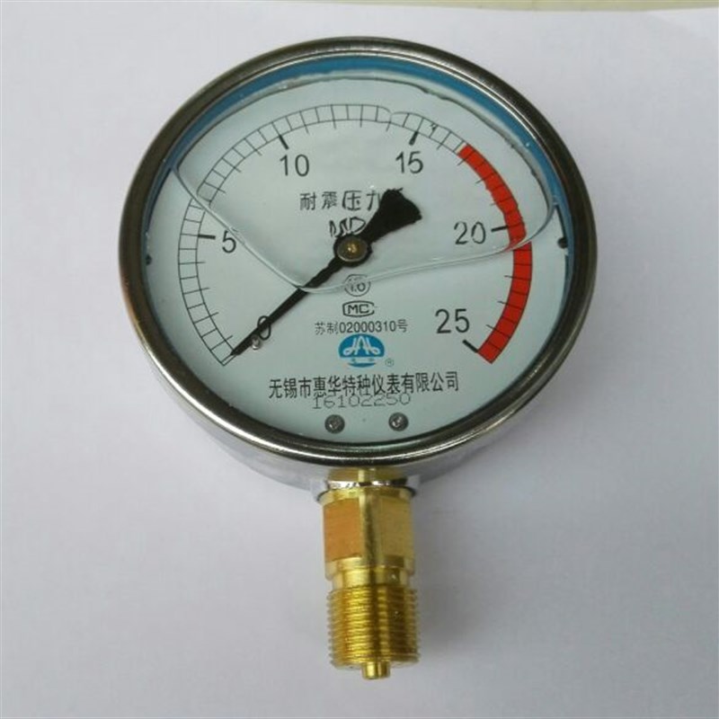 耐震压力表 YTN-100 0~25mpa 无锡惠华特种仪表有限公司 100mm