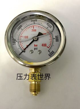G1/4螺纹 0-400bar 6000psi压力 直径62-68mm充油耐震压力表径向