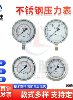 不锈钢压力表YB60 YB100 YB150 径向轴向带边防腐 含耐震 膜盒型