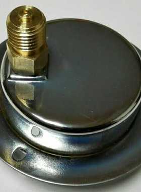 特种轴向带边 偏心耐震压力表 yn60zt -p 0-10mpa/1400psi 60mm