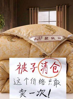 2024驼绒被子被芯驼毛被加y厚保暖冬被双人春秋被单人驼绒被芯子