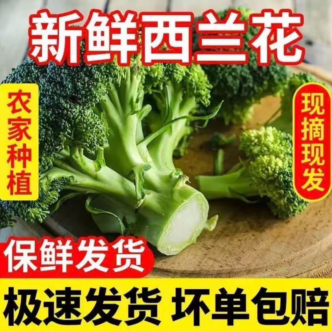 新鲜西兰花脆嫩青花菜花朵花菜西蓝花叶菜农家时令菜营养健康蔬菜