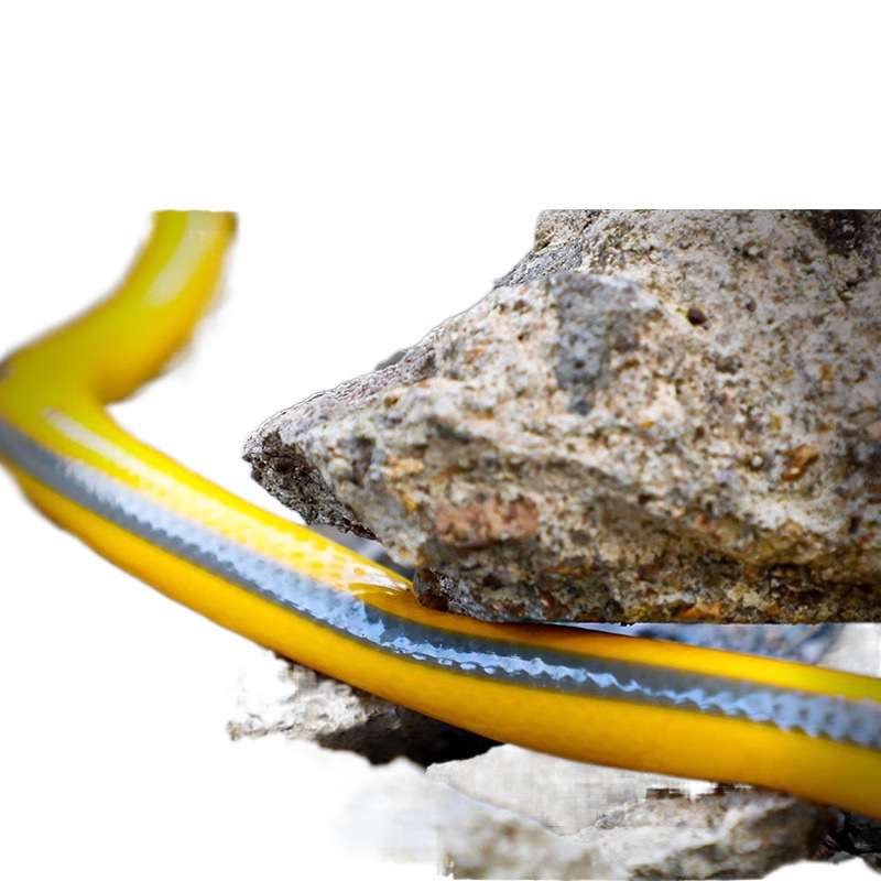 水管软管分分寸家用自来水管塑料管洗车防冻高压防爆软水管