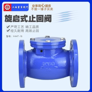 H44T 止回阀单向逆止阀 16水泵防倒流自来水德标DIN铸铁法兰旋启式