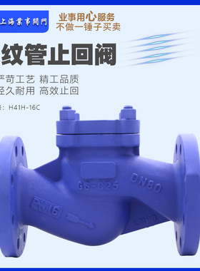 H41H-16C高温蒸汽导热油防倒流德标波纹管升降式止回阀法兰止逆阀