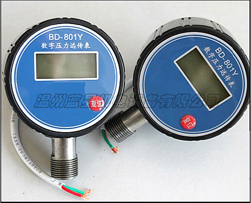 数字压力远传表BD-801Y-2.5(80/M20*1.5)防爆款