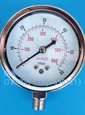 60mm直立式0-60mbar/600mmH2o压力表  气压表 微压气压表