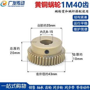 大传动比 小型蜗轮蜗杆齿轮 搭配45钢蜗杆 1模40齿 黄铜涡轮涡杆