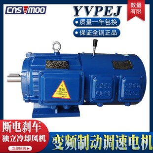 250M 225S 18.5 37KW变频制动调速三相电机 YVPEJ180M 200L