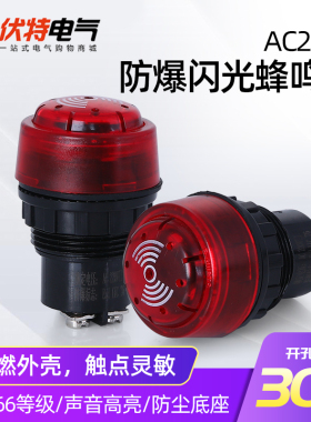 BD8030防爆闪光蜂鸣器防爆声光报警灯器ac220V380v24v开孔30mm