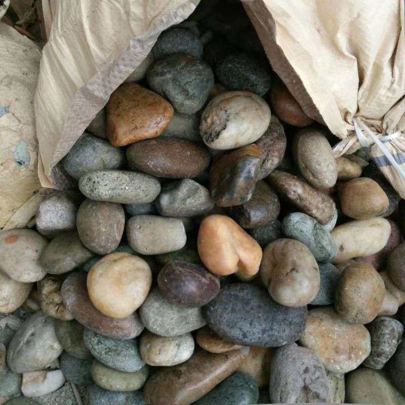 彩色抛光鹅卵石工程铺路石子变压器过滤建筑河卵石小石子鹅卵石