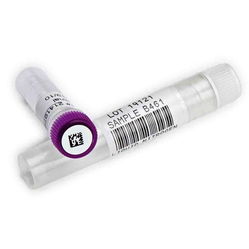 IP-R4300-BRADY贝迪i5100/IP300/IP600打印机B427/B499碳带