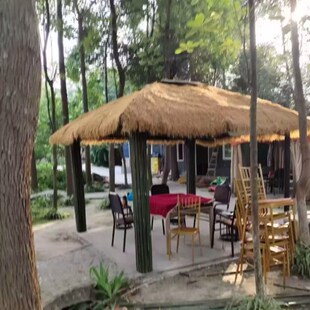 人工黄茅草屋顶防晒塑料假草农家乐景区凉亭别墅屋檐装饰仿真草皮