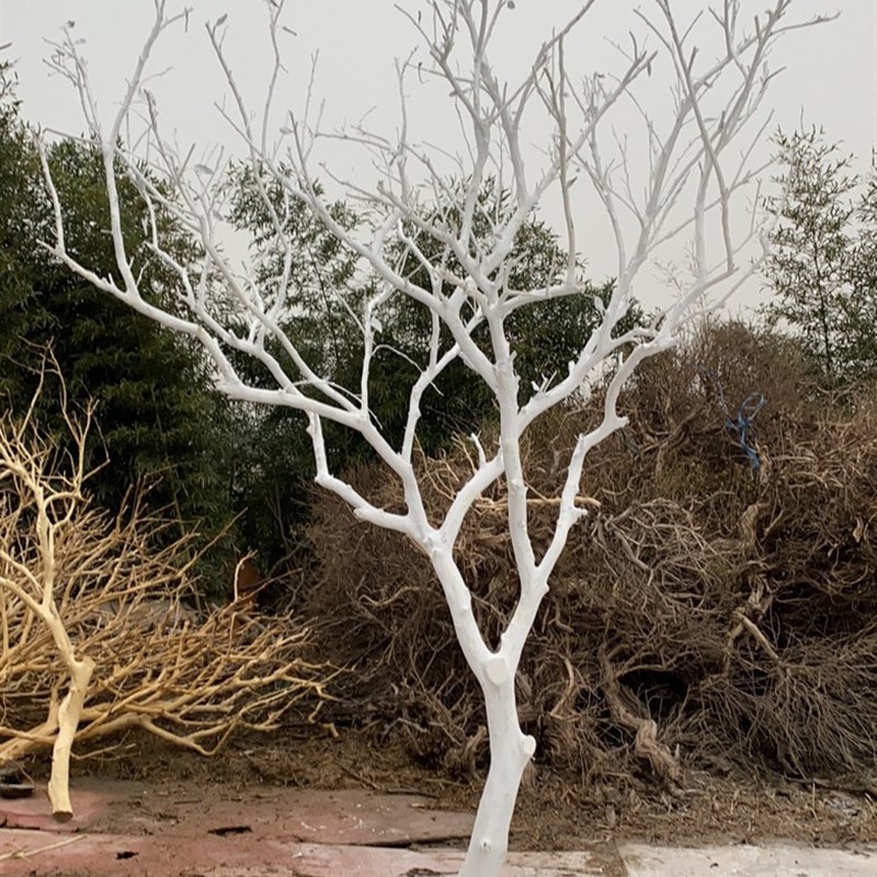 干树枝干枝干树 白色枯树枝摆件树杆仿真树枝假树造型树 树枝装饰