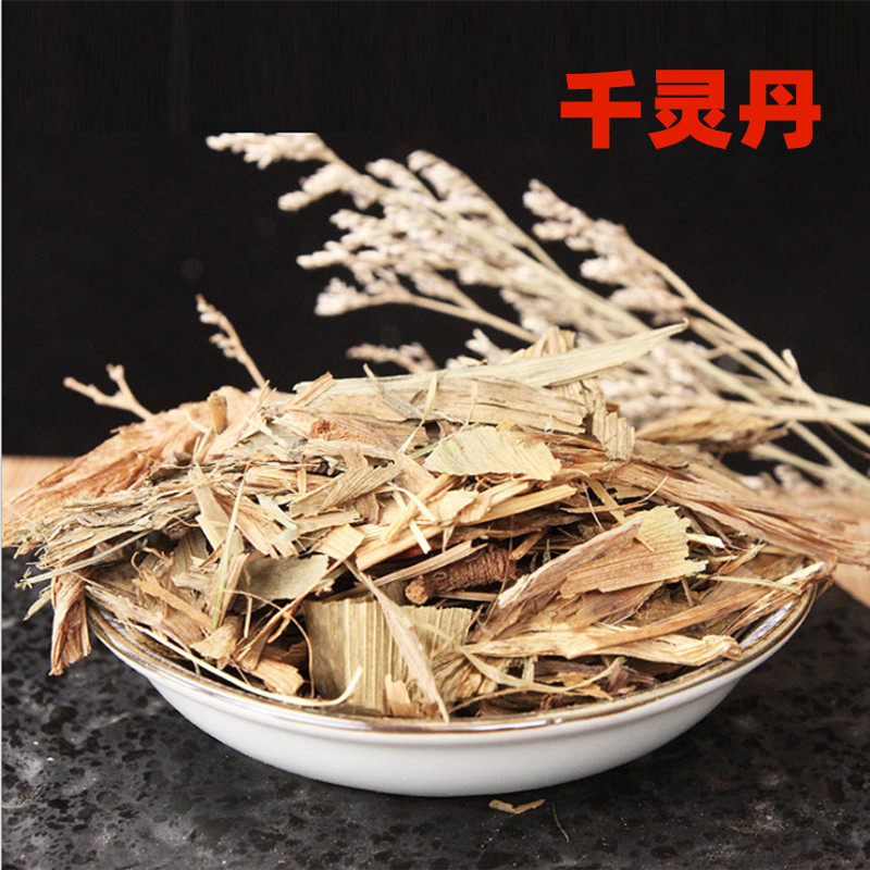 中药材 千灵丹 花叶子 斑叶兰 巴掌草 花叶鹿含草 500g克 碎