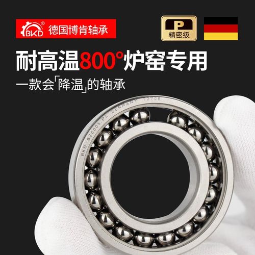 德国BKD进口高温轴承BZ6315 BZSY6315ZZ/P5