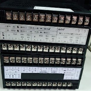 上海徐吉电气 智能显示温控仪 XST 262数显温控仪