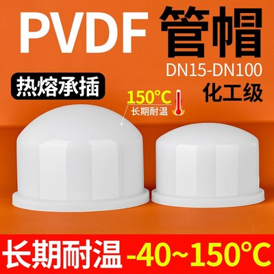 戎生PVDF管堵管帽封头热熔承插耐高温酸碱耐腐蚀塑料堵头水管管件
