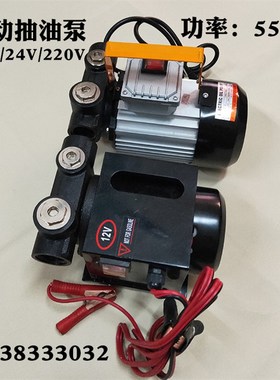 大流量电动抽油泵12V24V220V大功率柴油泵自吸泵550W直流泵加油机