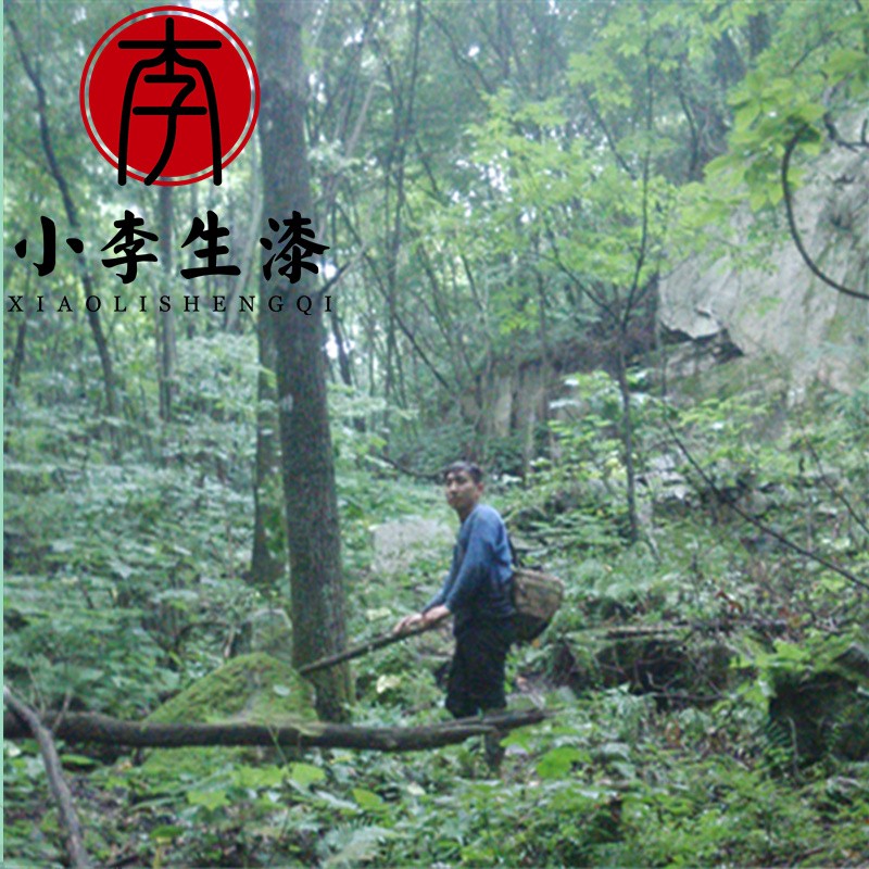 天然生漆/正宗大漆/优质土漆 国漆黑亮硬 漆农亲手采割