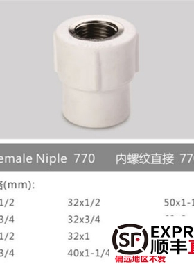 埃美柯塑业PPR管内丝热熔接头转接内螺纹铜件自来水管家装配件770